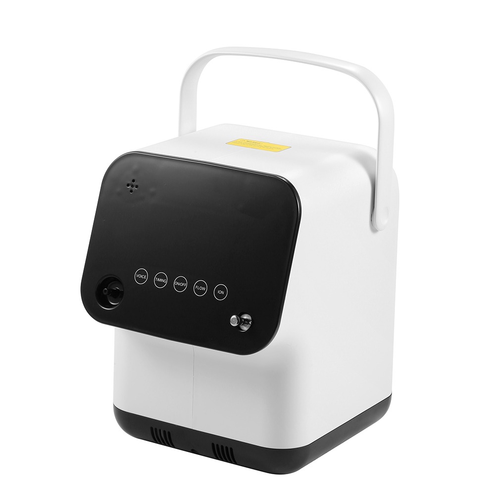Portable Oxygen Concentrator ZY-1S 2