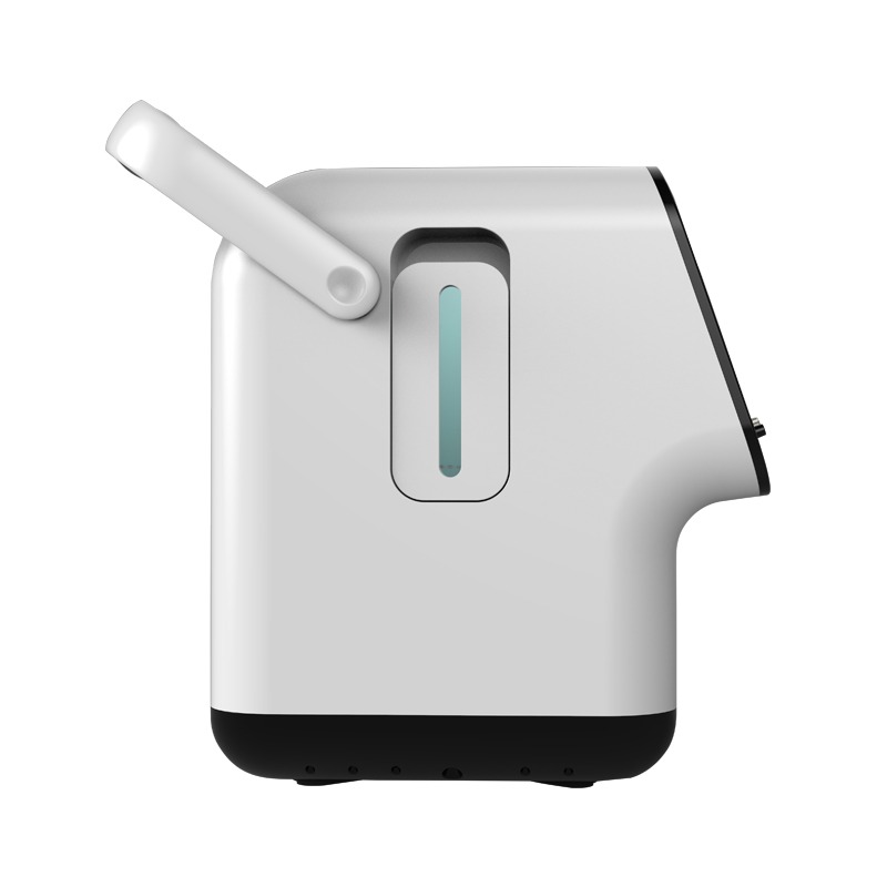 Portable Oxygen Concentrator ZY-1S 4